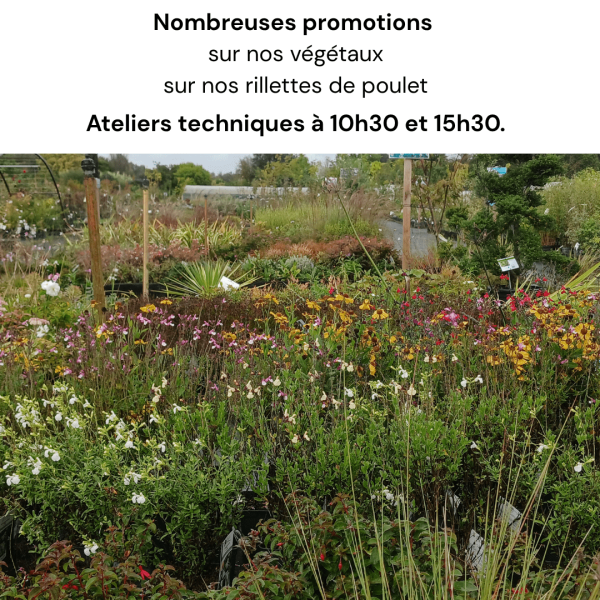 réouverture le samedi 12 septembre